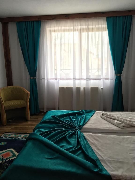 Отель Vila Romanitza Dărmăneşti-18