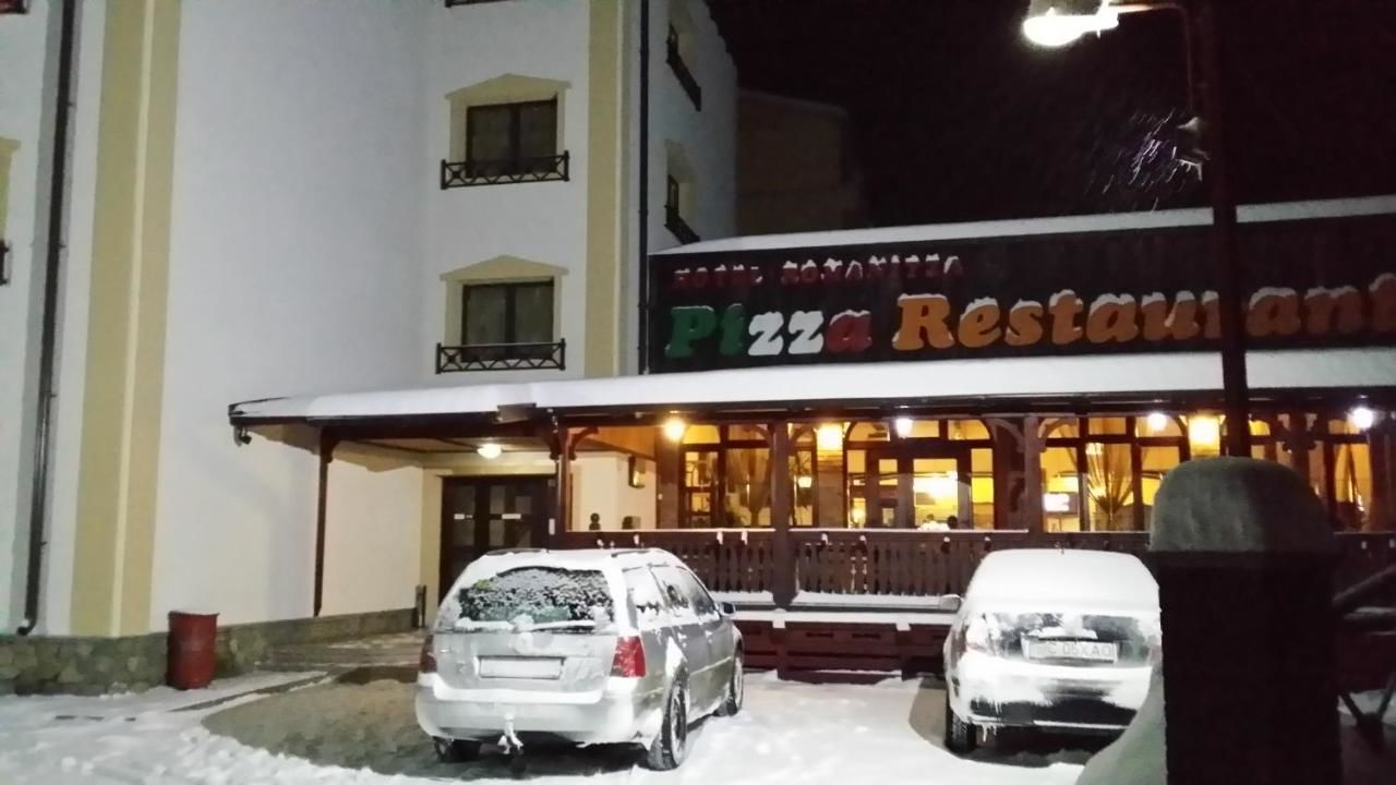 Отель Vila Romanitza Dărmăneşti-11